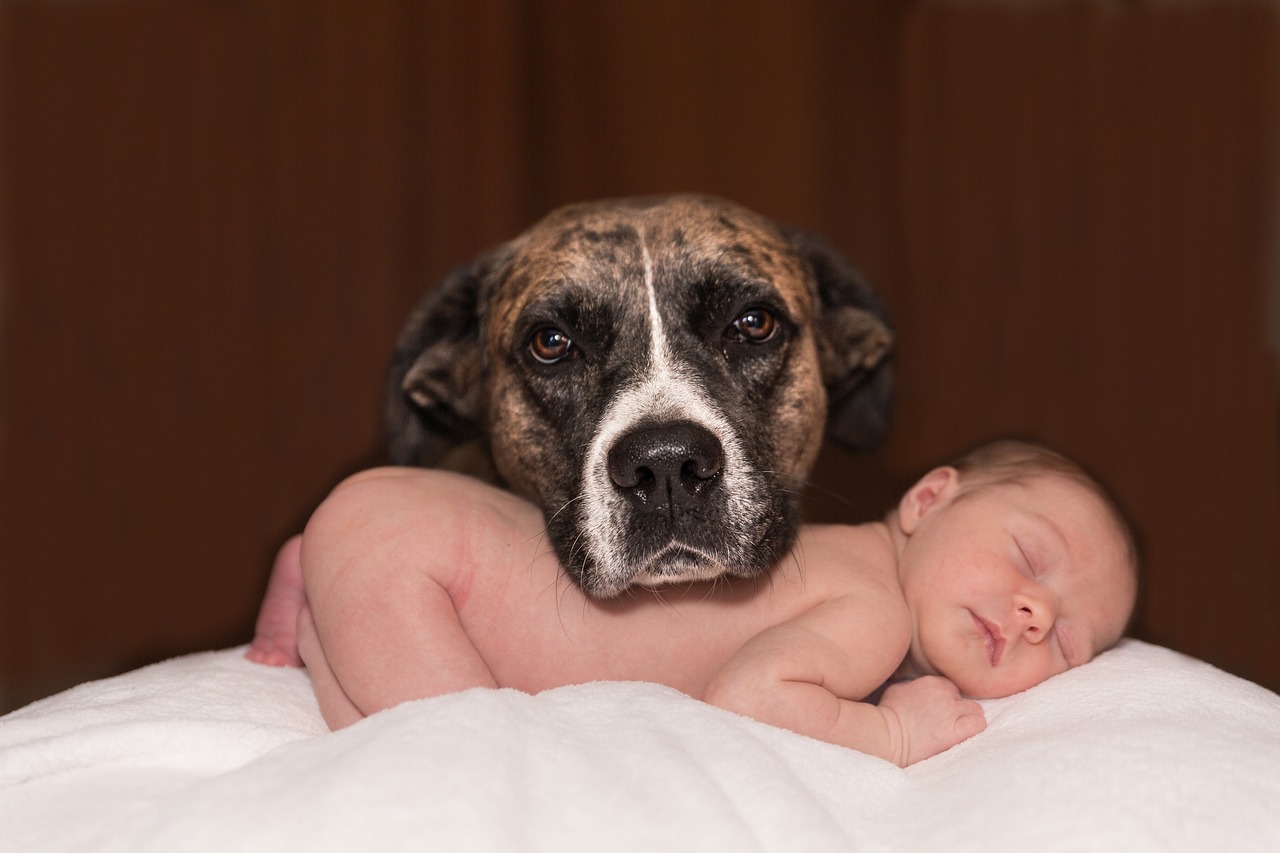 photo bébé à Montrevel-en-Bresse - photographe bébé