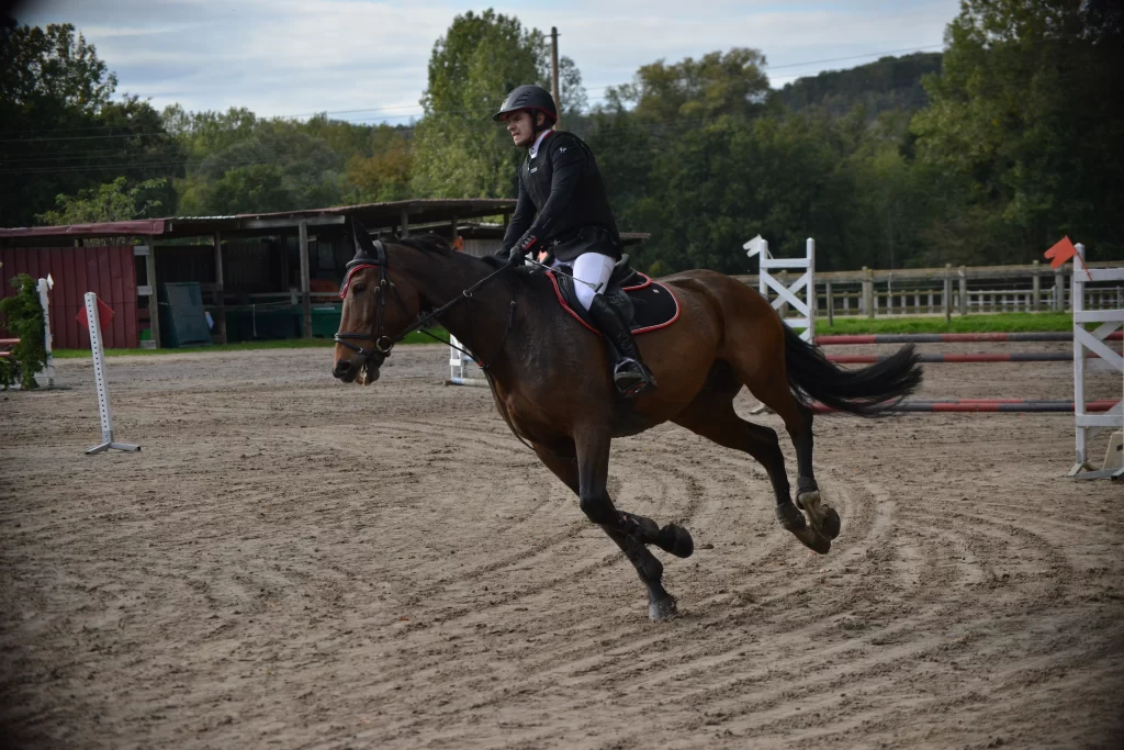 équitation