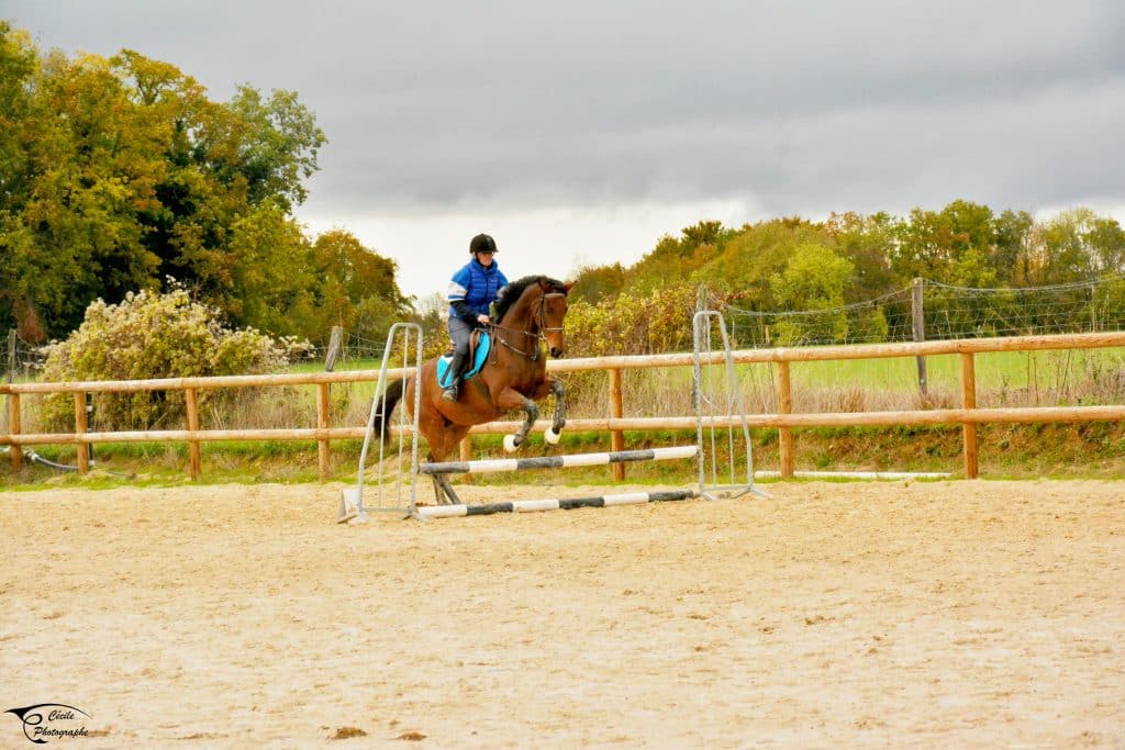 evenement sportif equestre