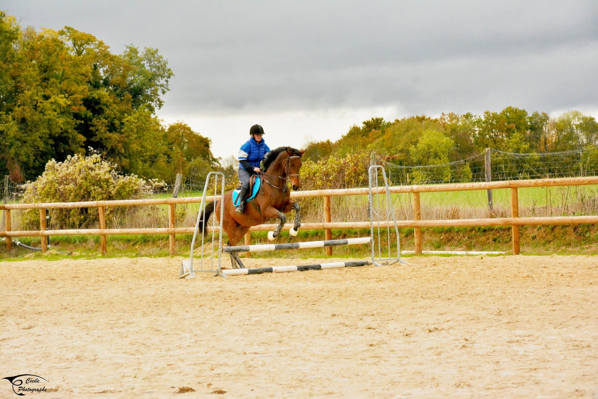 evenement sportif equestre scaled - đŽ Photographie Ă©questre â Shooting photo cavalier & cheval - Photographe de mariage de Bourges Ă MĂącon CĂ©cile Clerfayt shooting photo equitation - CĂ©cile Clerfayt votre photographe au FĂ©min'Ain - Portrait, Mariage, Naissance, Reportage, Concert - Sur MĂącon, Belleville, Villefranche, Cluny, Tournus, Bourg-en-Bresse